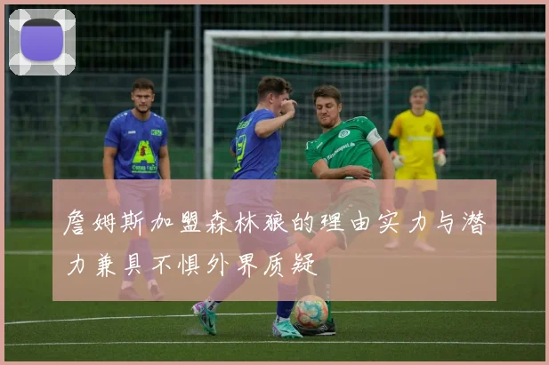 詹姆斯加盟森林狼的理由实力与潜力兼具不惧外界质疑