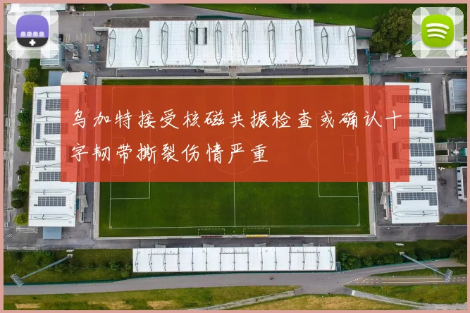 乌加特接受核磁共振检查或确认十字韧带撕裂伤情严重